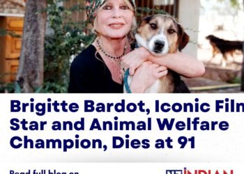 Brigitte-Bardot-Iconic-Film-Star-and-Animal-Welfare-Champion-Dies-at-91