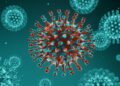 Nipah-Virus-in-India-Triggers-Asia-Airport-Screenings