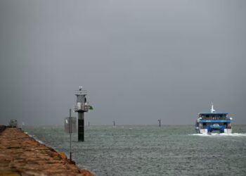 Tropical-Cyclone-Koji-nz-indian-insights