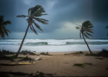 cyclone-koji-in-Australia-NZ-Indian-Insights