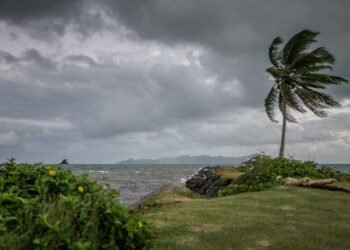 North-Island-Prepares-for-Prolonged-Tropical-Rain-and-Thunderstorms