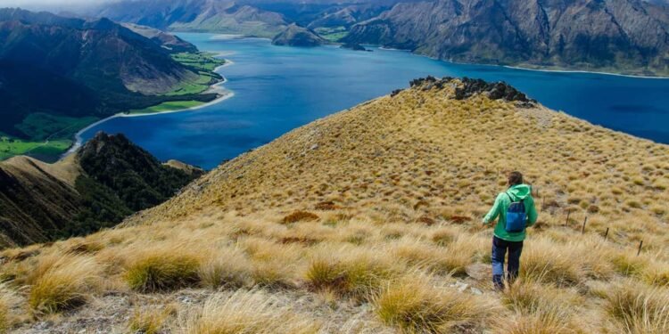 Domestic-Tourism-in-New-Zealand