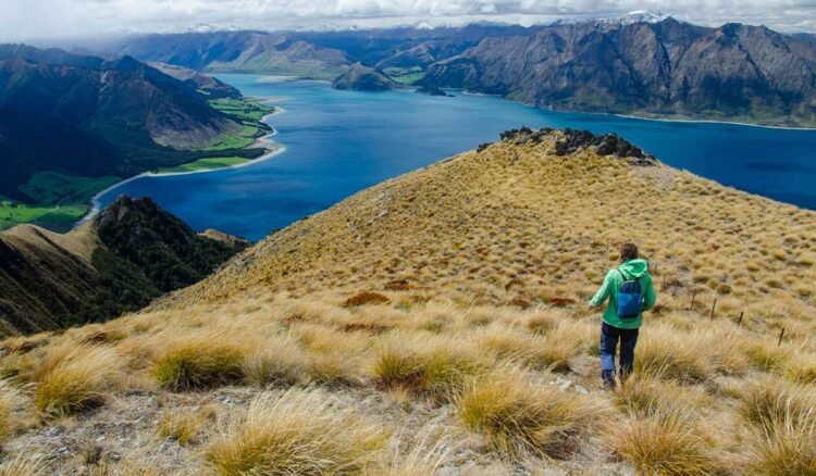 Domestic-Tourism-in-New-Zealand