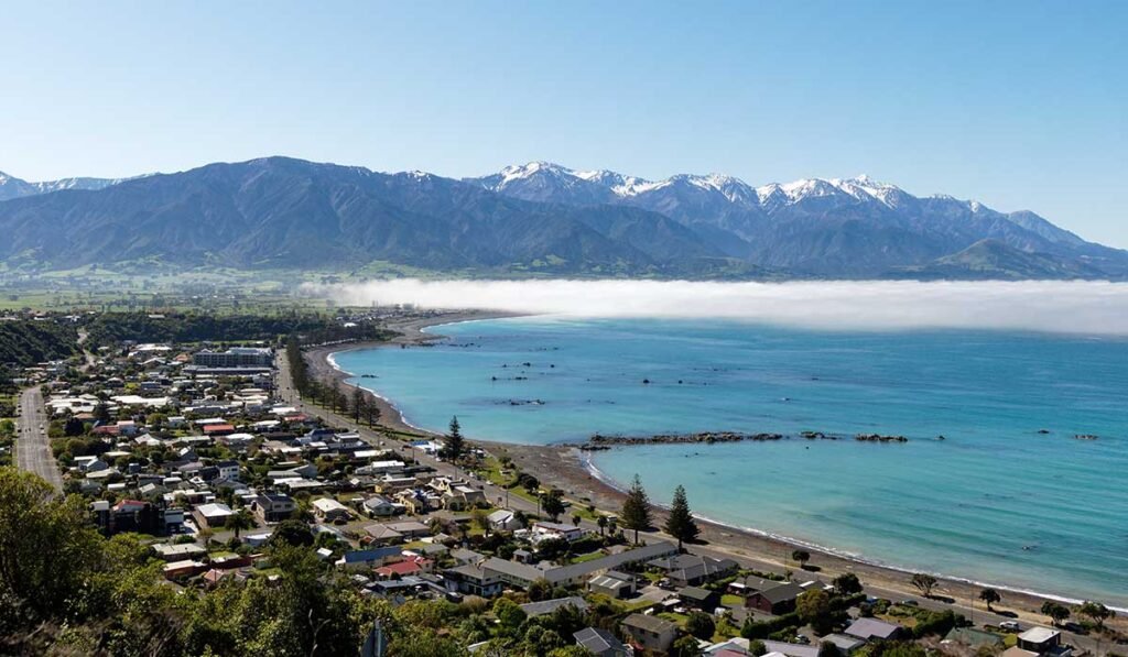 Kaikōura-Wildlife-&-Coastal-Views-new-zealand