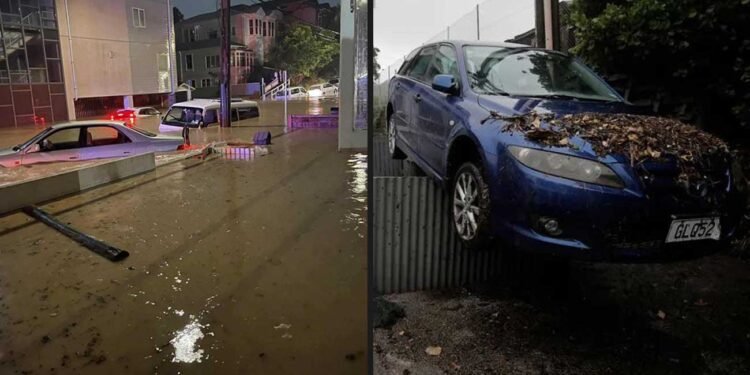 New Zealand Flood Crisis Why Wellington
