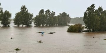 Photo Creadit: Civil Defence Waikato