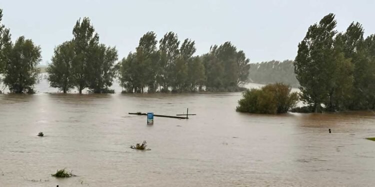 Photo Creadit: Civil Defence Waikato