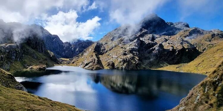 Why Tourists Visit New Zealand: Exploring the Beauty of Aotearoa