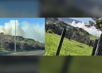 Whenuapai Wildfire in Northwest Auckland: Firefighters Contain Blaze