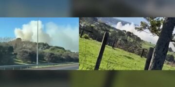 Whenuapai Wildfire in Northwest Auckland: Firefighters Contain Blaze