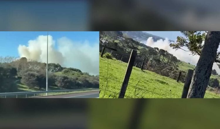 Whenuapai Wildfire in Northwest Auckland: Firefighters Contain Blaze